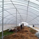 승규농장 이미지