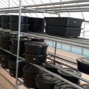 삼죽농장 이미지