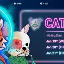 민트도그 이미지