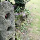 한라식당 이미지