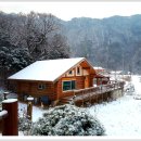 로그캐빈다래 이미지