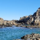 거진항공인중개사사무소 이미지