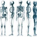 퀀텀의료기 이미지