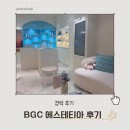 (주)동인시스템 | Bgc 경락 추천 : 에스테티아 후기