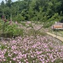 태전동 147-1 | 대구 북구 동변동 금호강 근처 뷰맛집 정원이 예쁜 숲속카페