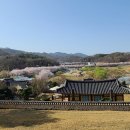 5월24일 토요당일 대전 옥천 백골산 꾀꼬리봉 강살봉 이미지