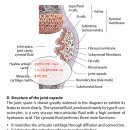 통증이 발생하는 이유들 그리고 치료적 대안? 이미지