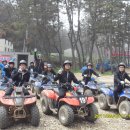 정무태권도체육관 이미지