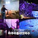 바람과 빛, 민화 소품 만들기 | 봄 여수 여행 실내 가볼만한곳 여수아쿠아플라넷 방문 후기