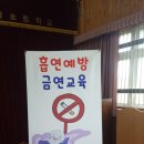 봉남초등학교 이미지