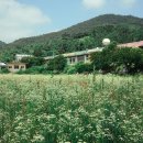 개진초등학교 영동분교장 이미지