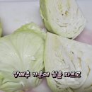 시원하고 아삭아삭한 양배추 물김치 담그기 이미지