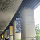 AK PLAZA 홍대 방문 후기(디지몬전/해리포터/스파오 망곰이 콜라보)