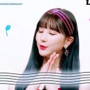 심플리즈