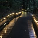 영어(중급) 이미지