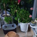 병점우체국 이미지