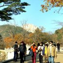 현대수콘도미니엄당구장