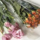 25년 4월 회고. 일상을 풍부하게 만드는 문구와 꽃🌷(인벤타리오 문구페어와 고터 꽃시장)