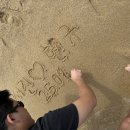 서진씨푸드 이미지