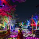 거북가든 이미지