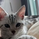 만남-행복한꿈 이미지