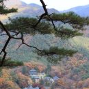 마곡사1 이미지