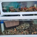 보물성횟집 이미지