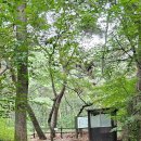 의상봉 둘레길 이미지