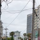 유진이네회초밥 이미지