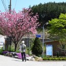 당산마을 화장실 이미지