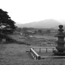 굴산사지입구 이미지