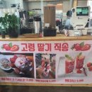 카페모모아쿠아플렌트