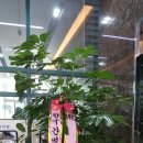 척시원병원 이미지