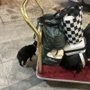 오리엔트펜션 | 평창 오리엔트리조트 온돌룸