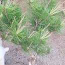 주주농장 이미지