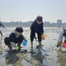 오이도어촌체험휴양마을 이미지