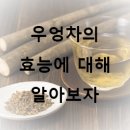 우엉 이미지