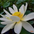 수리산역 이미지