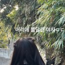 윤정이네밥집 | 교토 정복-!!