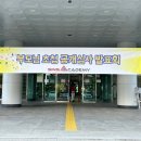 신사아카데미 합기도 주짓수 유도 네이버블로그