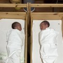 라임산후조리원 | 시흥 가성비 라임산후조리원 가격 쌍둥이 2주후기 (내돈내산)