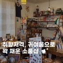 초록애견샵 | 제주 함덕 소품샵 애견동반가능 만두상점