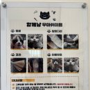 그루밍루나 | [북수원 고양이미용]함께냥 앤 함께냥품 재방문후기 (feat:내돈내산)