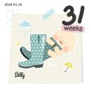 (주)에이스인스트루먼트 | [튼튼이] 임신 29주~32주 일상 / 시지파티마 입체초음파/ 경대칠곡 입체초음파 /버베나 스튜디오 만삭촬영