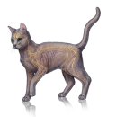 최영민 동물의료센터 이미지