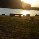 오조리-1 이미지