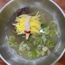 해바라기 애견 이미지