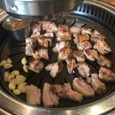 리꼬비베이커리 | 일미락,키친갈매기,고도,타이거슈가,잇코텐34.27,카페이미,칙피스,고에몬,루엘드파리 등