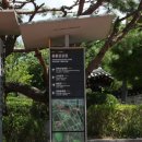 용흥궁 | 강화도 여행 용흥궁과 성공회 강화 성당