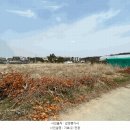 [국도77] 태안군 신온리